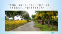 科学【新教科版】三年级上册1.1《水到哪里去了》PPT课件（共14页）  