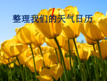 科学三年级上册【新教科版】3.7《整理我们的天气日历》PPT课件 (共11页)