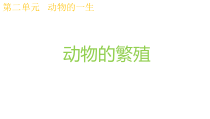 科学【教科版】三年级下册2.7《动物的繁殖》PPT课件