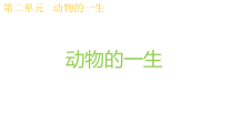 科学【教科版】三年级下册2.8《动物的一生》PPT课件