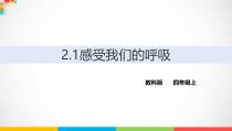 2020新教科版四年级上册科学2.1《感受我们的呼吸》ppt课件
