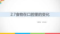 2020新教科版四年级上册科学2.7《食物在口腔里的变化》ppt课件