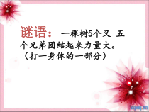 心理健康【大象版】三年级第13课《众人划桨开大船》PPT课件1