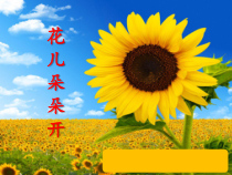 心理健康【大象版】五年级第11课《面对欺负怎么办》PPT课件4