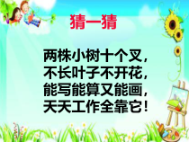 科学【青岛版】（六三制）一年级上册《摸一摸》PPT课件