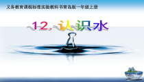 科学【青岛版】（六三制）一年级上册《认识水》PPT课件（共32页）
