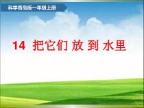 科学【青岛版】（六三制）一年级上册14《把它们放到水里》PPT课件