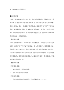 科学【青岛版】（六三）二年级下册14《观察蜗牛》教学设计