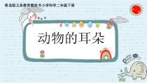 科学【青岛版】（六三）二年级下册11《动物的耳朵》PPT课件（共24页）
