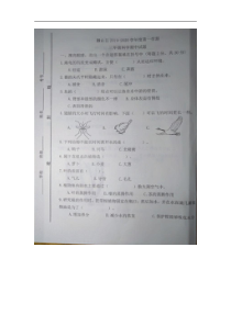 科学【青岛版（六年制）】山东济宁微山县2019-2020学年度三年级第一学期期中试题（图片版  含答案）