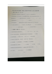 科学【青岛版（六年制）】枣庄市中区2019年秋季三年级上册教学质量阶段性检测 （扫描版，无答案）