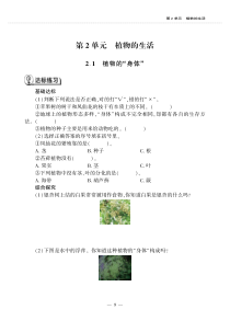 科学【青岛版】（六年制）三年级上册2.1《植物的“身体”》一课一练（PDF版，无答案）