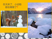 科学【青岛版六三制】三年级上册4《冬眠与迁徙》PPT课件