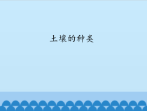 科学【青岛版六三制】三年级上册10《土壤的种类》PPT课件（共12页）