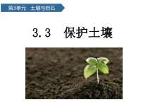 科学【青岛版六三制】三年级上册第11课《保护土壤》PPT课件(共14页)