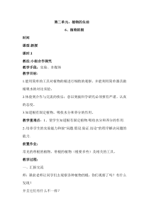 科学【新青岛版】三年级上册2.6《植物的根》教学设计
