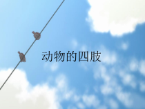 科学【新青岛版】三年级上册1《动物的四肢》PPT课件3