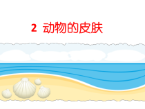科学【新青岛版】三年级上册2《动物的皮肤》PPT课件1（共11页）