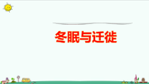 科学【新青岛版】三年级上册4《冬眠与迁徙》PPT课件（共14页）