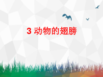 科学【新青岛版】三年级上册3《动物的翅膀》PPT课件（共10页）