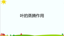 科学【新青岛版】三年级上册8《叶的蒸腾作用》PPT课件（共11页）