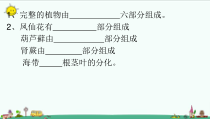 科学【新青岛版】三年级上册6《植物的根》PPT课件（共13页）