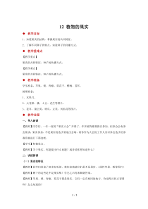 科学【2020新青岛版】（六三制）三年级下册12《植物的果实》示范教案1
