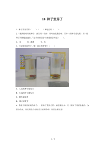 科学【2020新青岛版】（六三制）三年级下册13《 种子发芽了》同步测试