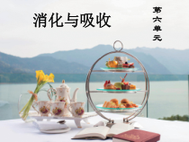 科学【2020新青岛版六三制】三年级下册第六单元消化与吸收复习ppt课件