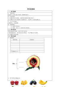 2020新青岛版（六三制）三年级下册科学4.12《植物的果实》（35张PPT+学习任务单）