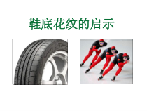 青岛版六三制科学三年级下册5.17《鞋底花纹的启示》PPT课件（含视频）