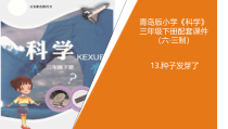 青岛版三年级下册科学  13《种子发芽了》（PPT课件+视频）（共16页）