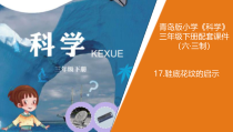 青岛版三年级下册科学17.《鞋底花纹的启示》教学课件