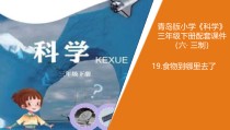 青岛版三年级下册科学19《食物到哪里去了》教学课件