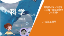 青岛版三年级下册科学21.《走近工程师》教学课件