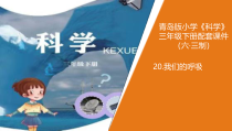 青岛版三年级下册科学20《我们的呼吸》教学课件
