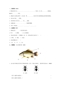 科学【新青岛版】（六三制）四年级上册《鱼类和昆虫》练习题无答案