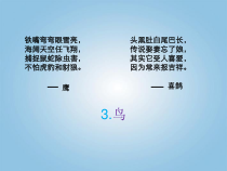 科学【新青岛版】（六三制）四年级上册3.《鸟》ppt课件