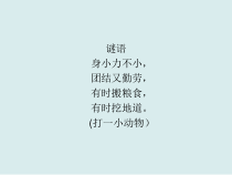科学【2020新青岛版】四年级上册1.《蚂蚁》PPT课件