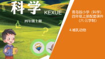 科学【2020新青岛版】四年级上册4.《哺乳动物》教学课件（六三制）