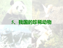 科学【2020新青岛版】小学四年级上册5《珍稀动植物》PPT课件