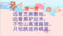 科学【2020新青岛版六三】四年级上册《蚂蚁》课件