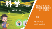科学【新青岛版】（六三制）四年级上册1.《蚂蚁》教学课件