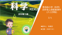 科学【新青岛版】（六三制）四年级上册3.《鸟》教学课件