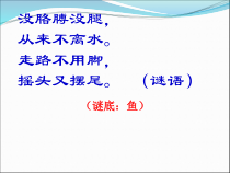 科学【新青岛版】（六三制）四年级上册2《鱼》PPT课件
