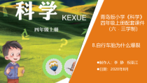 科学【新青岛版】（六三制）四年级上册8.《自行车胎为什么爆裂》教学课件