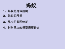 科学【新青岛版】（六三制）四年级上册第一单元复习ppt课件