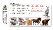 科学【2020新青岛版】（六三制）四年级上册5《我国的珍惜动物》ppt课件