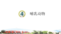 青岛版科学（六三制）四年级上册4《哺乳动物》（PPT课件+2视频）