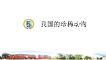 青岛版小学科学四年级上册第5课《我国的珍稀动物》（PPT课件+5视频）
